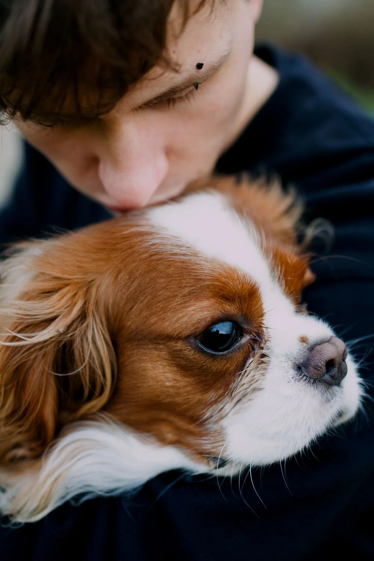 A calm dog being comforted by its owner with a warm hug