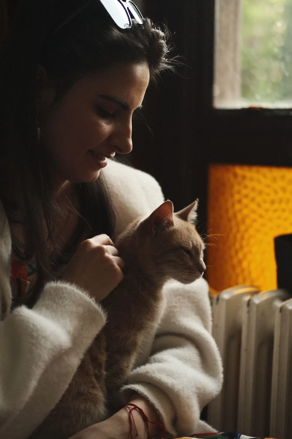 A woman gently petting her cat by a sunny window — preventive care at Jackson Veterinary Clinic in Jackson, GA